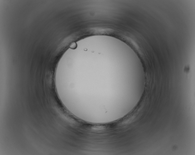 X0000093450357200710121010