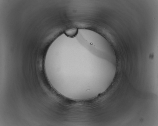 X0000093450358200710121010