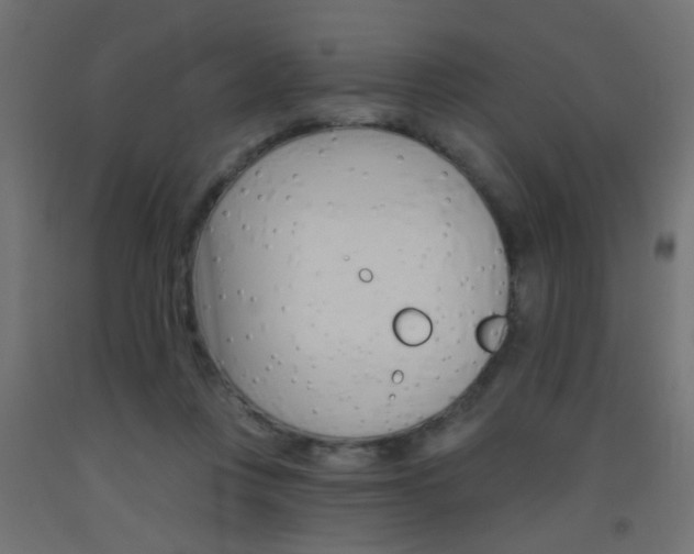 X0000093450359200710121010