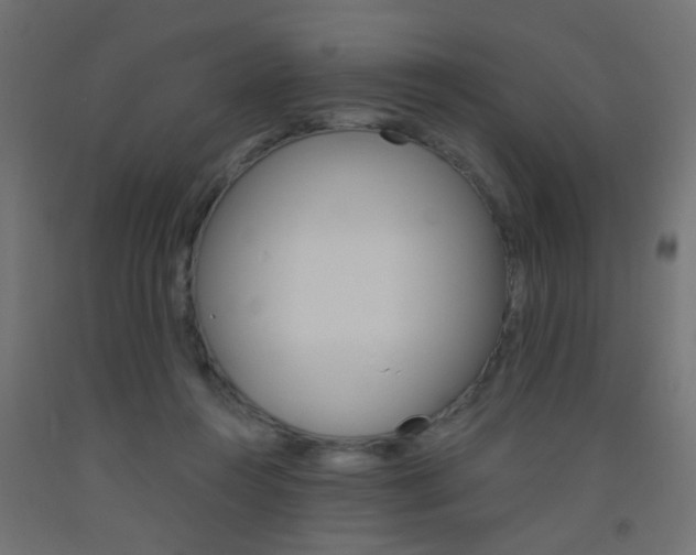 X0000093450360200710121010