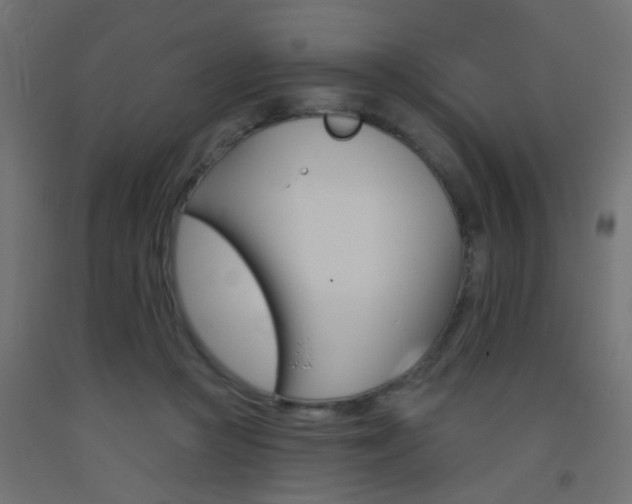 X0000093450361200710121010