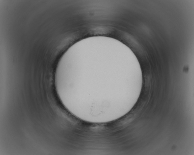 X0000093450362200710121010