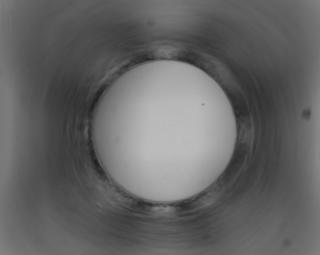 X0000093450363200710121010