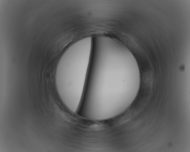 X0000093450364200710121010
