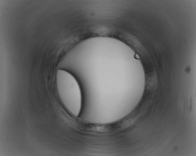 X0000093450365200710121010