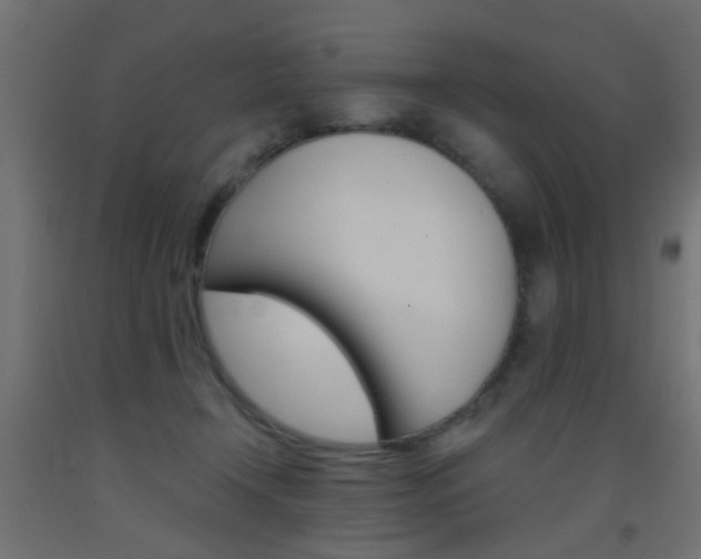 X0000093450366200710121010