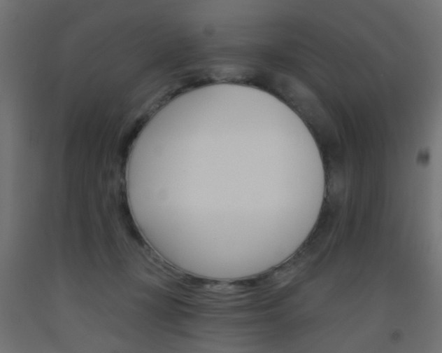 X0000093450367200710121010