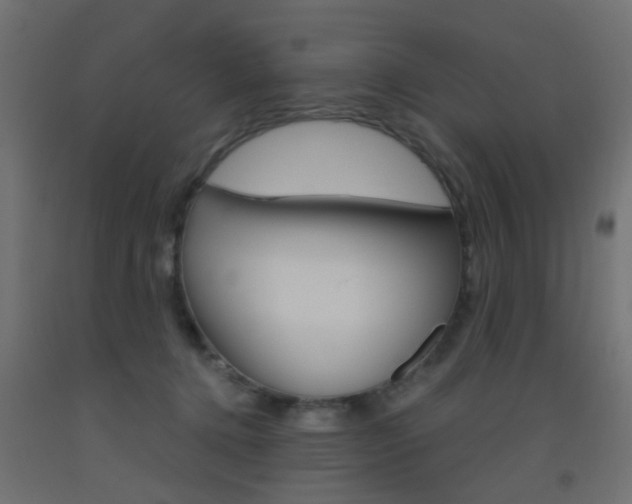 X0000093450368200710121010