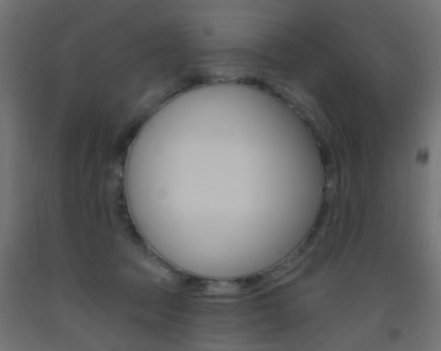 X0000093450369200710121010