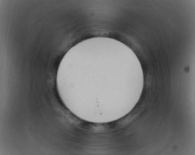 X0000093450370200710121010