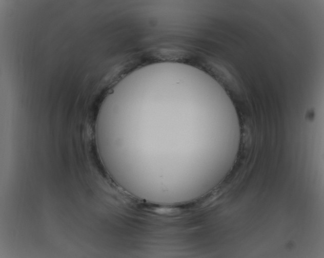 X0000093450371200710121010