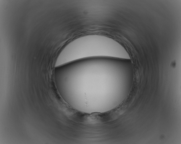X0000093450372200710121010