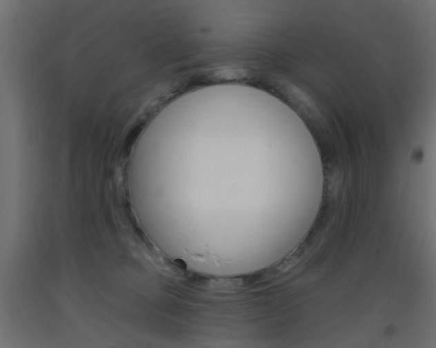 X0000093450373200710121010