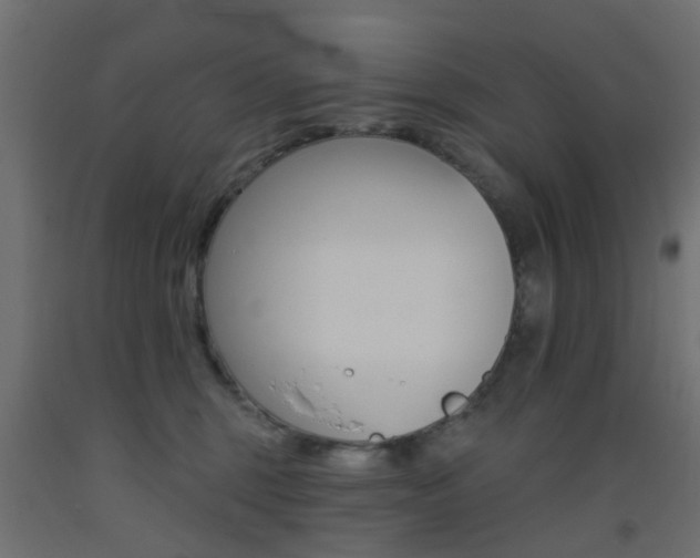 X0000093450375200710121011