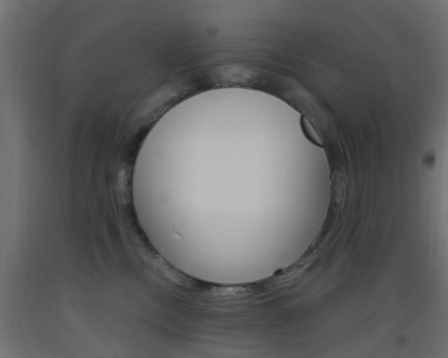 X0000093450378200710121011