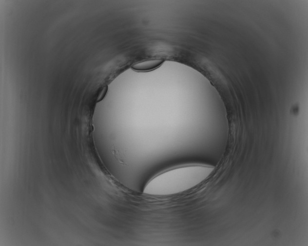 X0000093450379200710121011