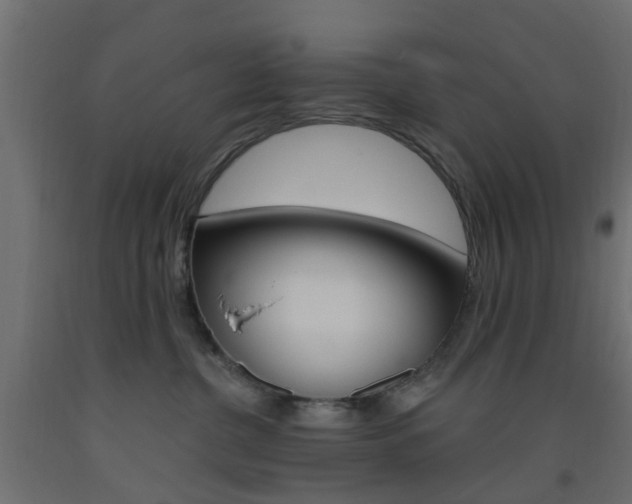 X0000093450380200710121011