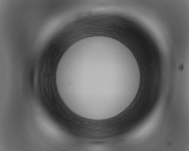 X0000093450382200710121011
