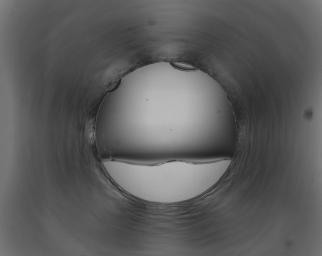 X0000093450383200710121011