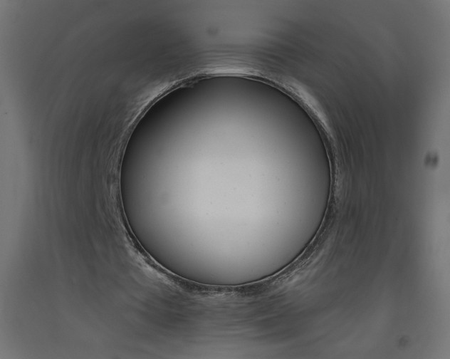 X0000093450385200710121010