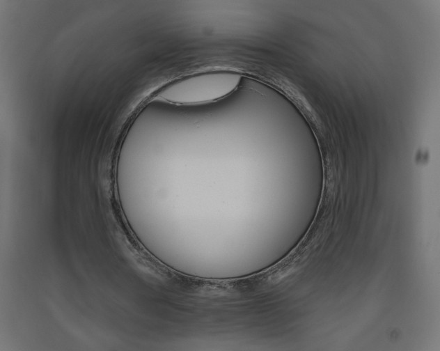 X0000093450386200710121010