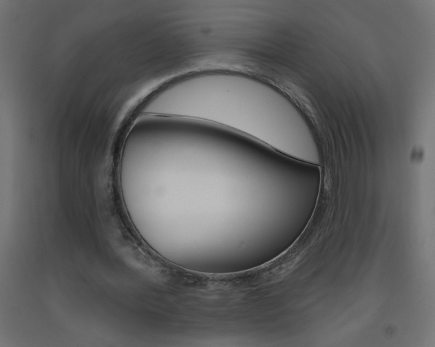 X0000093450388200710121010