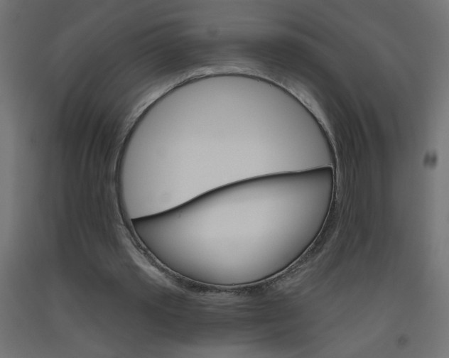X0000093450389200710121010