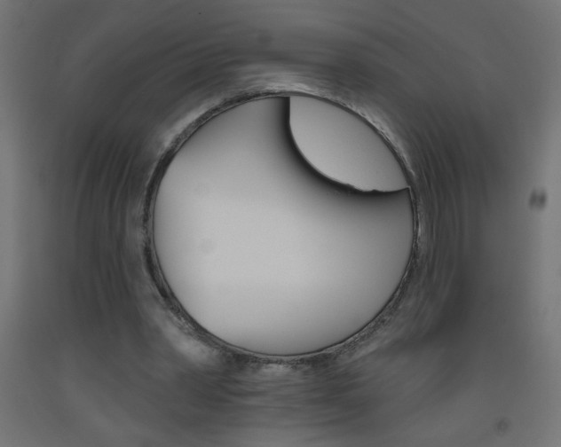 X0000093450390200710121010
