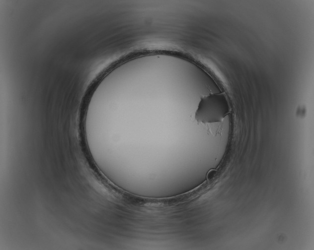 X0000093450391200710121010