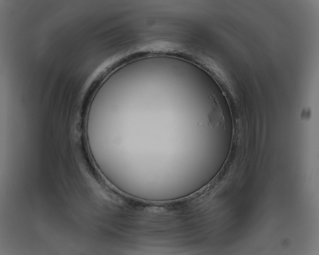 X0000093450392200710121010