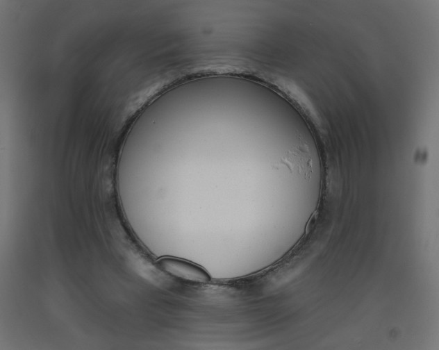 X0000093450393200710121010