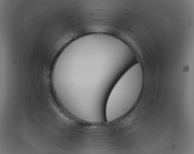 X0000093450394200710121010