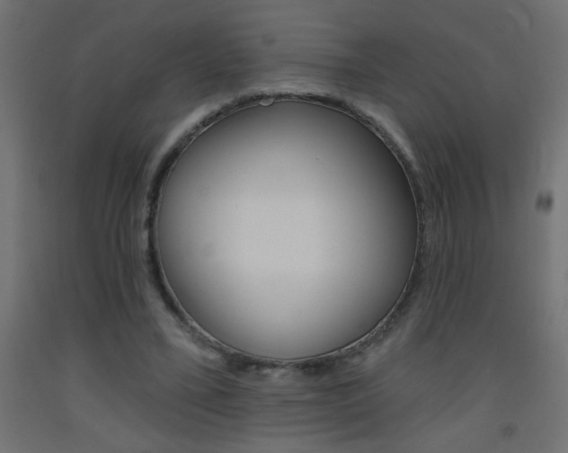 X0000093450395200710121010