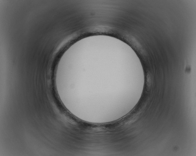 X0000093450396200710121010