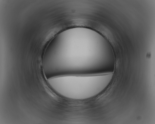 X0000093450397200710121010