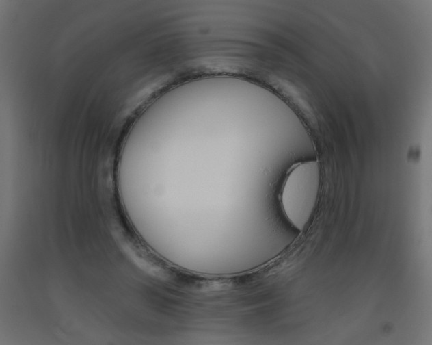 X0000093450398200710121010