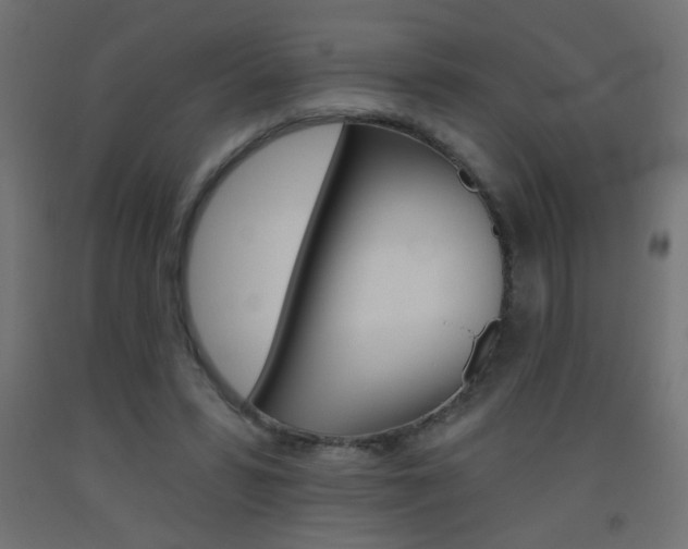 X0000093450399200710121010