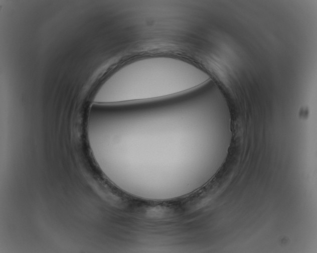 X0000093450400200710121010