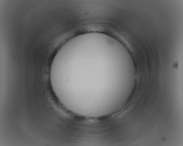 X0000093450402200710121010