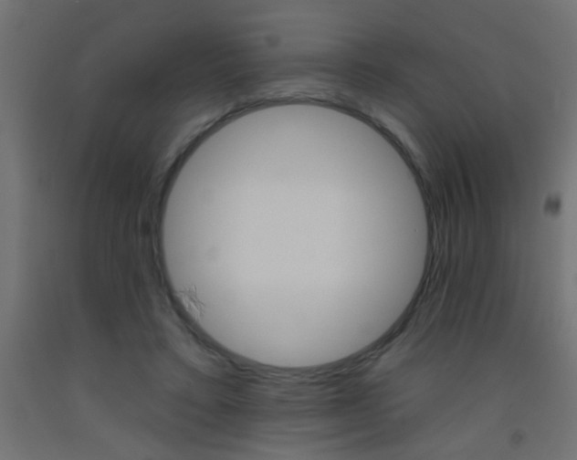 X0000093450403200710121010
