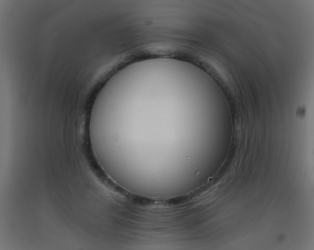 X0000093450404200710121010