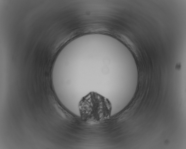 X0000093450405200710121010