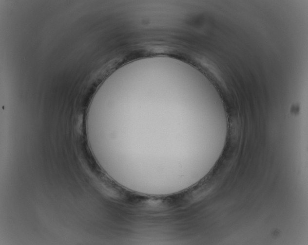 X0000093450406200710121010
