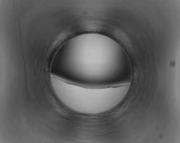 X0000093450407200710121010
