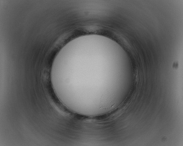 X0000093450408200710121010