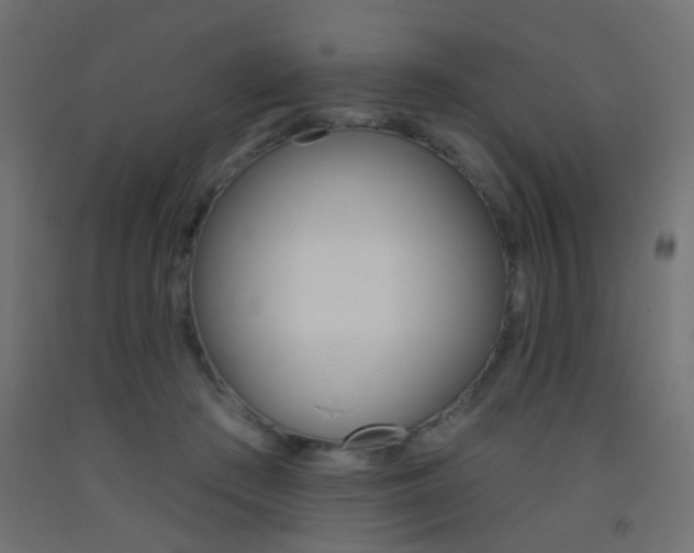 X0000093450409200710121010