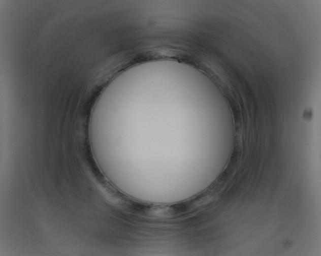 X0000093450410200710121010