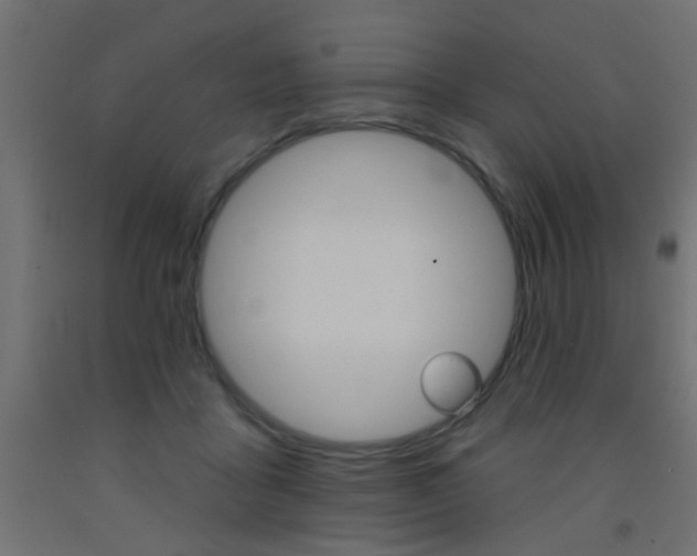 X0000093450411200710121010