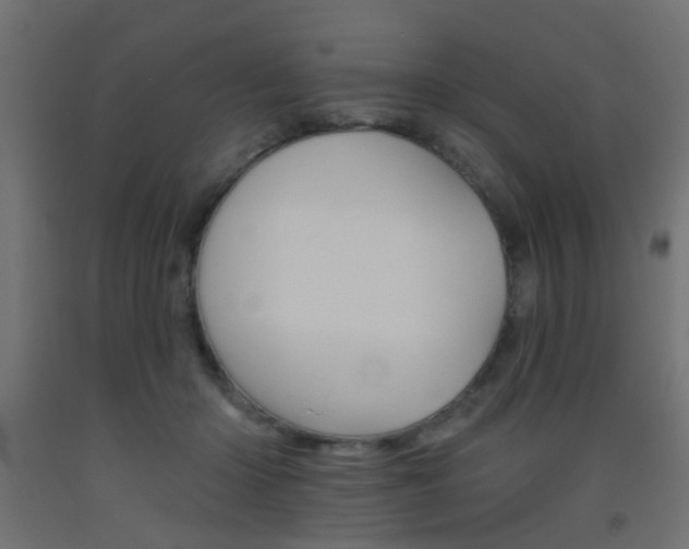 X0000093450414200710121009