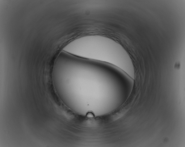X0000093450416200710121009